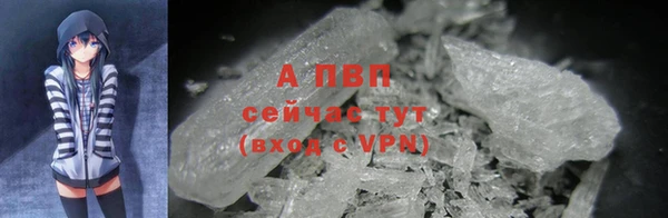 стафф Богородск