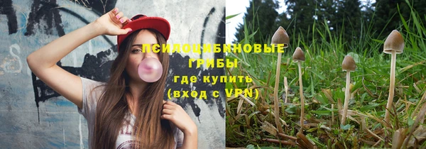 МДПВ Богданович